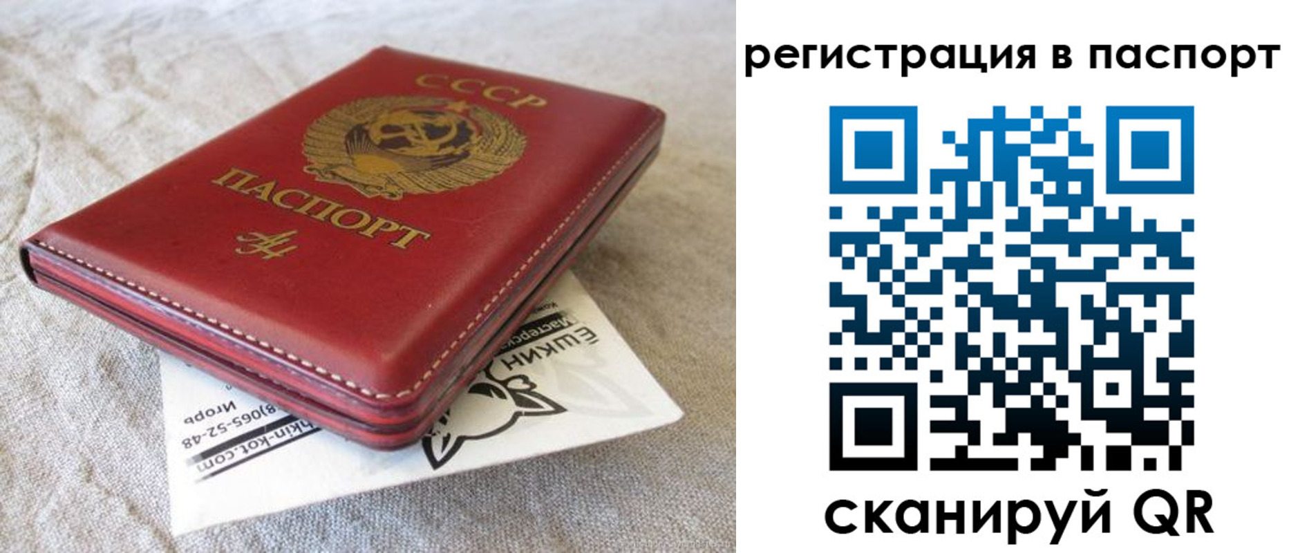 где прописаться в Бородино
